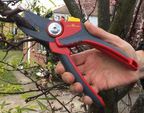 https://fredshed.com/wp-content/uploads/2021/12/wolfrr4000secateurs.jpg